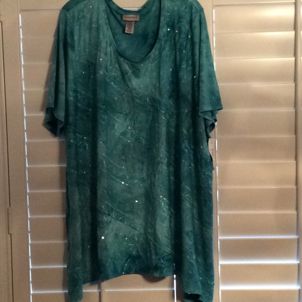 Teal tunic with sparkles